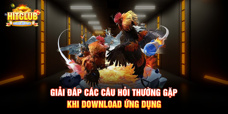 Giải đáp các câu hỏi thường gặp khi download ứng dụng